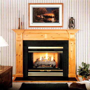 Heat & Glo Energy Master Wood Fireplace